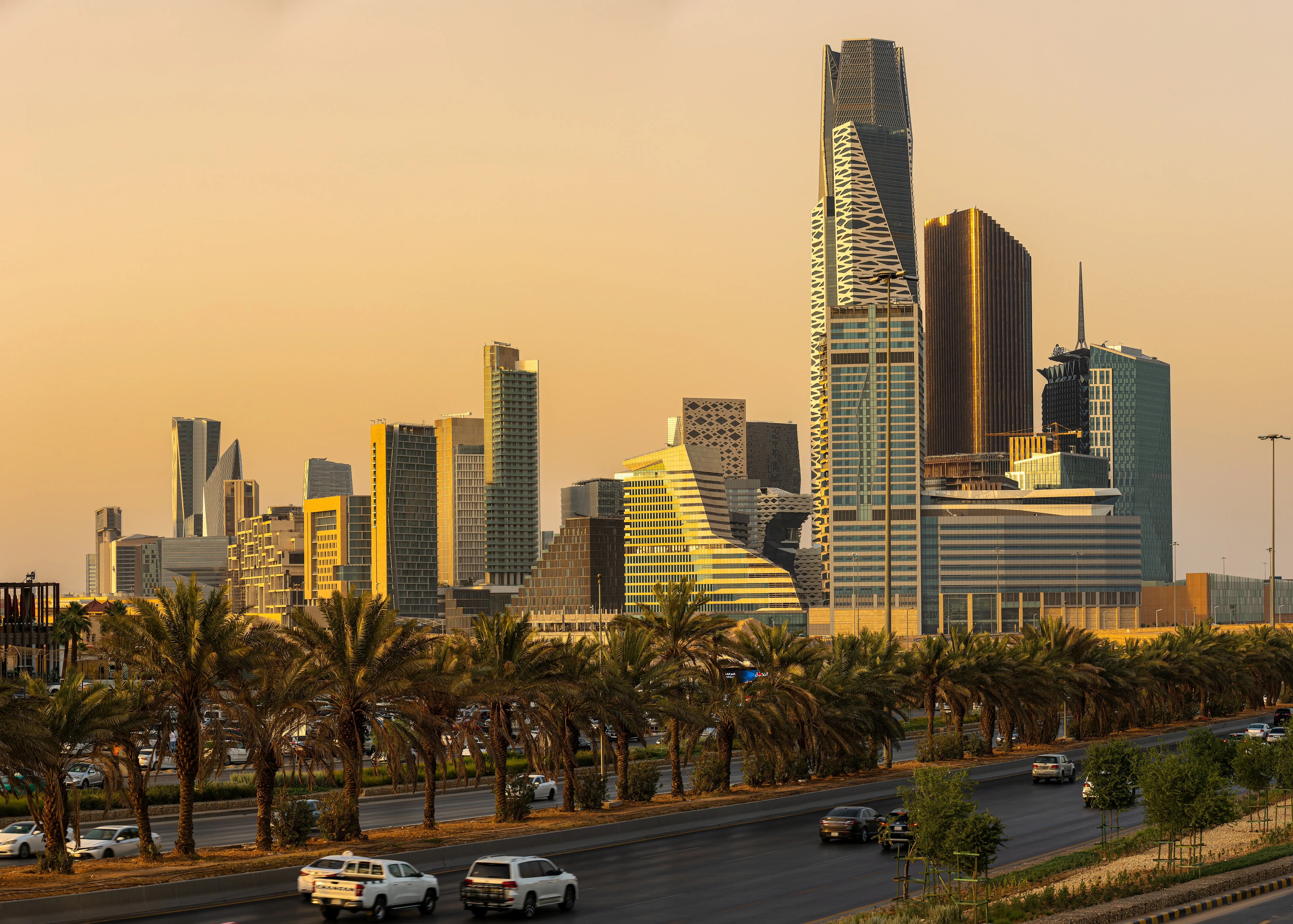 General Assembly - Twenty-Sixth Session